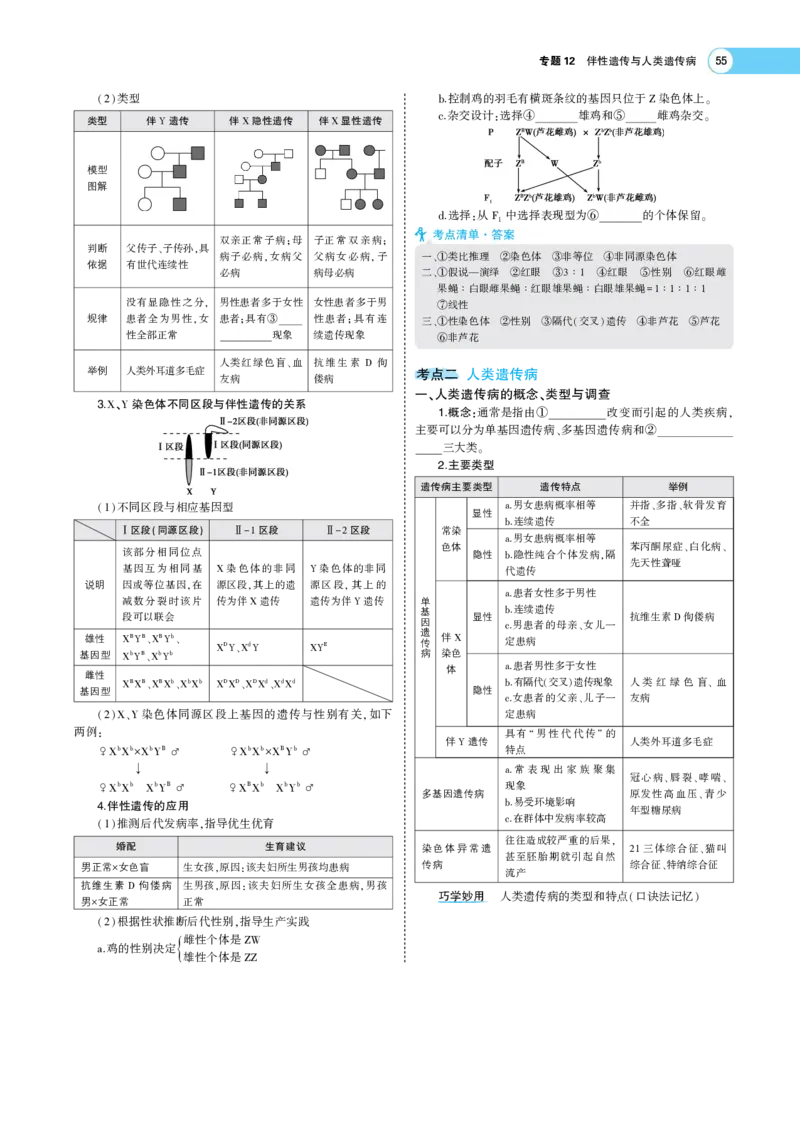 《1_22版专题12　伴性遗传与人类遗传病(1)_2023版教学资源包_2023版新高考版选考总复习生物5·3A版_13_专题十三伴性遗传与人类遗传病_7_专题考点精析》第2页预览