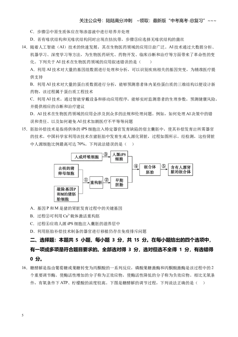 《高考生物一轮复习检测卷（黑吉辽蒙专用）（考试版）_06-生物-高考总复习_一轮复习_2026年-生物高考一轮复习_2026年高考生物一轮课件+讲义+练习（黑吉辽蒙专用）-G330》第5页预览