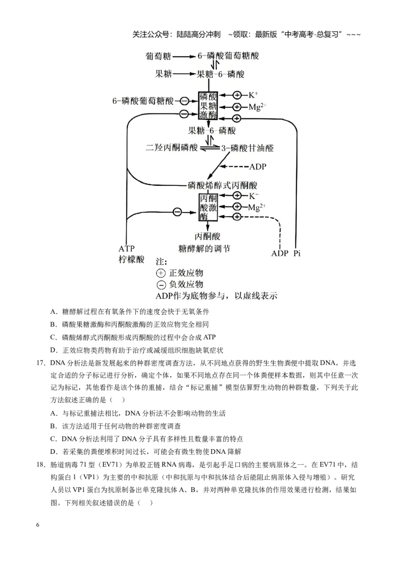 《高考生物一轮复习检测卷（黑吉辽蒙专用）（考试版）_06-生物-高考总复习_一轮复习_2026年-生物高考一轮复习_2026年高考生物一轮课件+讲义+练习（黑吉辽蒙专用）-G330》第6页预览