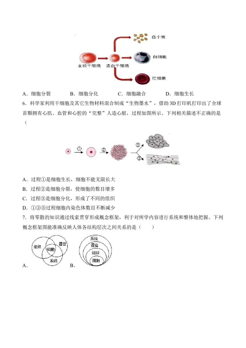 《2.2.2动物体的结构层次（习题）-2022-2023学年七年级生物上册同步优质备课资源（人教版）（原卷版）_初中全科知识点总结和试卷_赠送习题试卷_初中3年学习辅助资料_1、初中学习资料》第2页预览