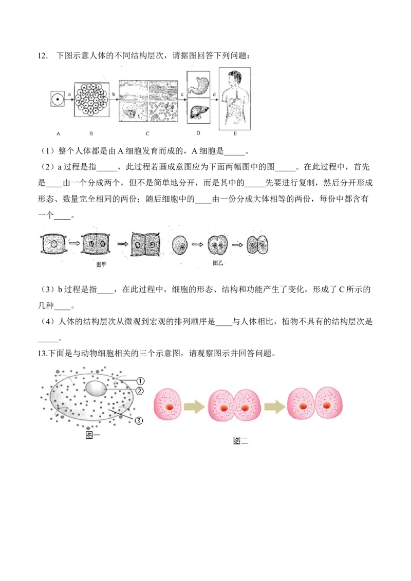 《2.2.2动物体的结构层次（习题）-2022-2023学年七年级生物上册同步优质备课资源（人教版）（原卷版）_初中全科知识点总结和试卷_赠送习题试卷_初中3年学习辅助资料_1、初中学习资料》第4页预览