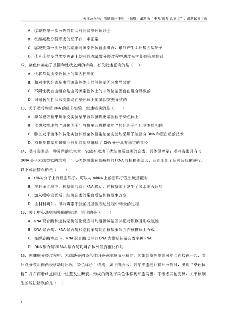 《黄金卷03（考试版）-2024年高考生物模拟卷（老教材）（全国卷专用）_06-生物-高考总复习_一轮复习_2024年_2024年高考生物一模拟卷（全国卷专用）》第4页预览