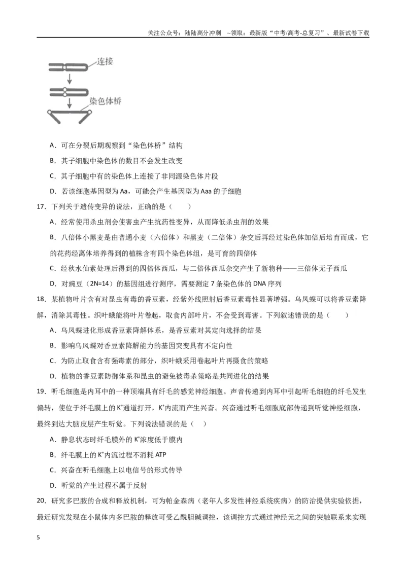 《黄金卷03（考试版）-2024年高考生物模拟卷（老教材）（全国卷专用）_06-生物-高考总复习_一轮复习_2024年_2024年高考生物一模拟卷（全国卷专用）》第5页预览