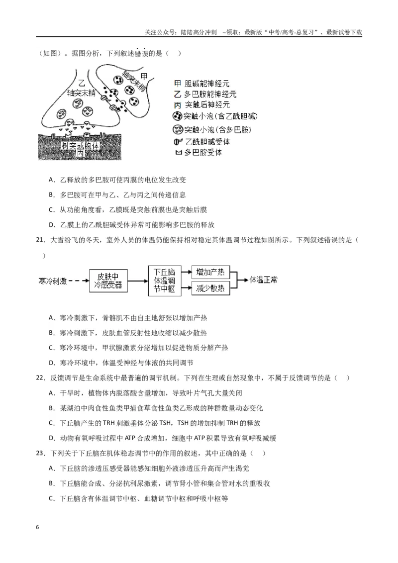 《黄金卷03（考试版）-2024年高考生物模拟卷（老教材）（全国卷专用）_06-生物-高考总复习_一轮复习_2024年_2024年高考生物一模拟卷（全国卷专用）》第6页预览