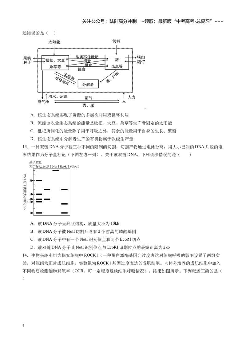 《高考生物一轮复习检测卷（福建专用）（考试版）_06-生物-高考总复习_一轮复习_2026年-生物高考一轮复习_2026年高考生物一轮课件+讲义+练习（福建专用）-G328》第4页预览