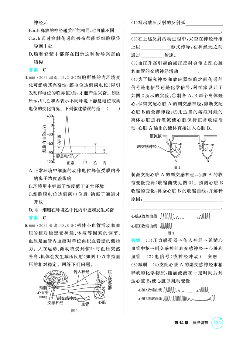 《2_精练册-第14章神经调节_2026版教学资源包_202653高考总复习A版_广东版_2026版.广东版.选考总复习.生物.5·3A版_第3部分稳态与调节_第14章神经调节_4_PDF教参电子书》第6页预览