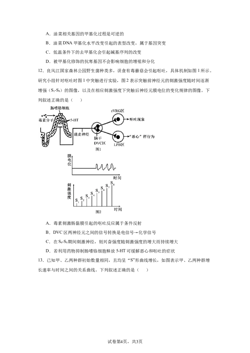 《22_广西壮族自治区南宁市2024—2025学年高三上学期摸底考试生物试题_2026版教学资源包_202653高考总复习A版_新高考_生物_教师A版2026年.新高考版.生物.53_优质模拟题精选（Word）》第4页预览