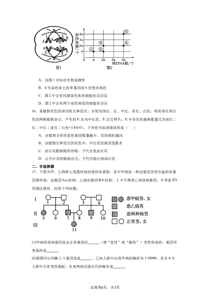 《22_广西壮族自治区南宁市2024—2025学年高三上学期摸底考试生物试题_2026版教学资源包_202653高考总复习A版_新高考_生物_教师A版2026年.新高考版.生物.53_优质模拟题精选（Word）》第6页预览