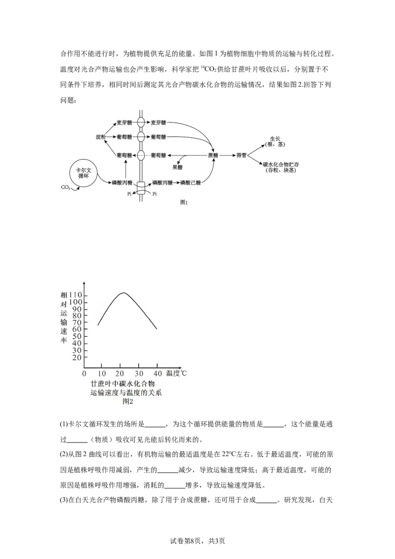 《22_广西壮族自治区南宁市2024—2025学年高三上学期摸底考试生物试题_2026版教学资源包_202653高考总复习A版_新高考_生物_教师A版2026年.新高考版.生物.53_优质模拟题精选（Word）》第8页预览