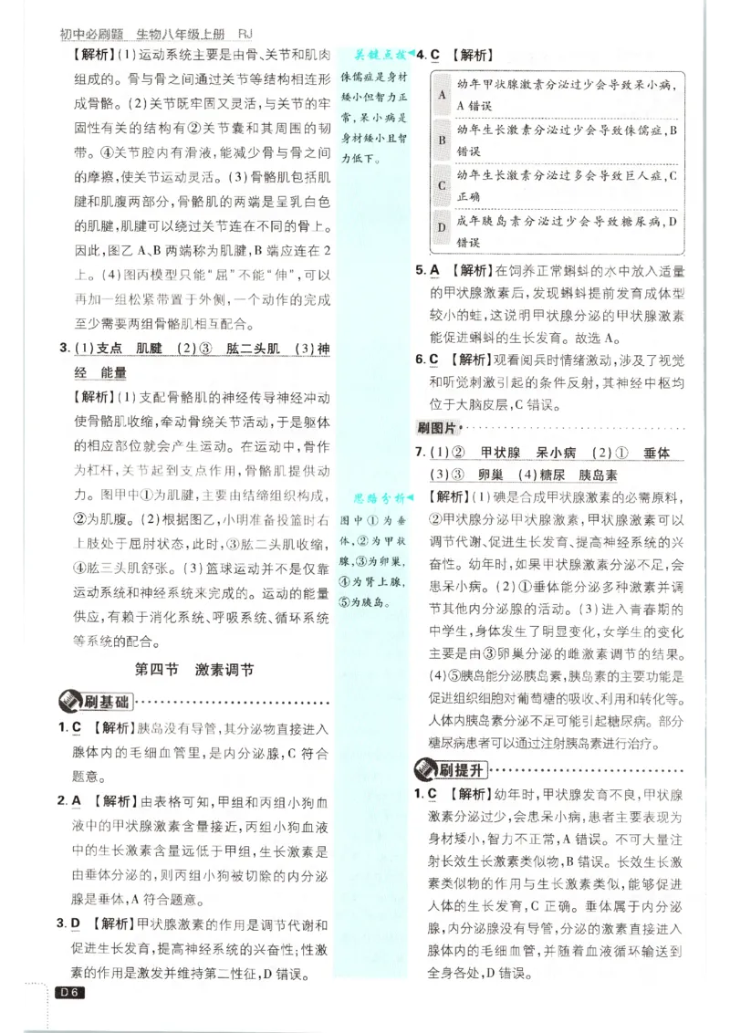 《2026秋《初中必刷题》8上生物（人教）答案_2026秋初中教辅合集_2026秋必刷题_2026秋《初中必刷题》8上_2026秋《初中必刷题》8上生物（人教）》第8页预览