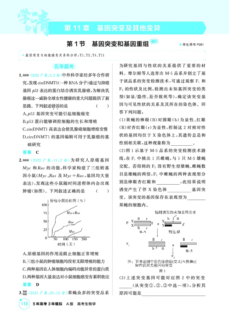 《2_精练册-第11章基因突变及其他变异_2026版教学资源包_202653高考总复习A版_广东版_2026版.广东版.选考总复习.生物.5·3A版_第2部分遗传与进化_第11章基因突变及其他变异_4_PDF教参电子书》第1页预览