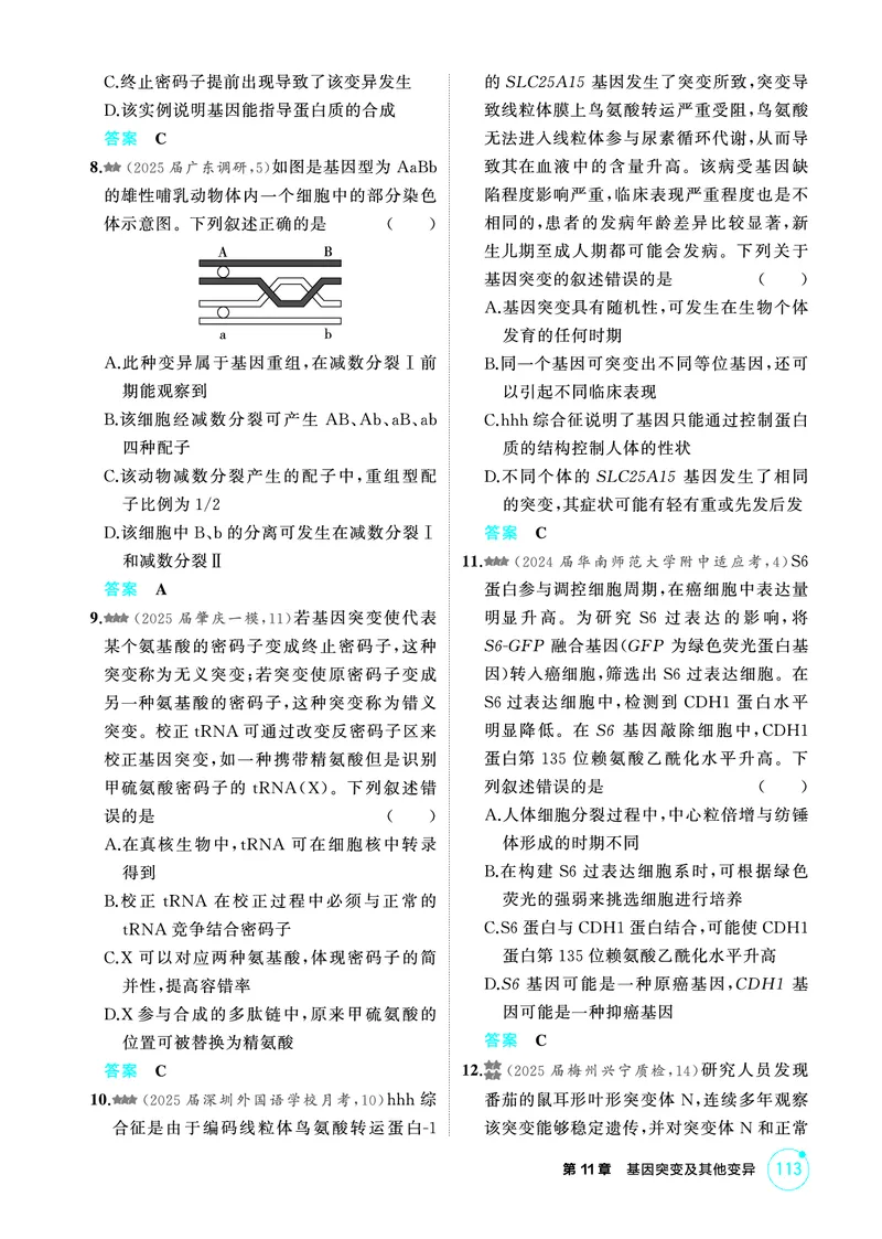 《2_精练册-第11章基因突变及其他变异_2026版教学资源包_202653高考总复习A版_广东版_2026版.广东版.选考总复习.生物.5·3A版_第2部分遗传与进化_第11章基因突变及其他变异_4_PDF教参电子书》第4页预览