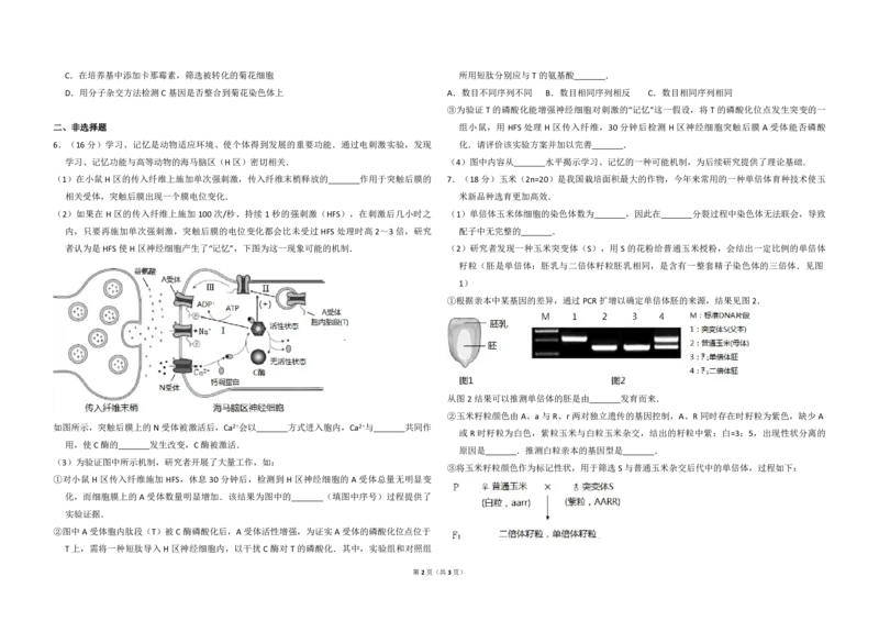 《2017年北京市高考生物试卷（原卷版）(1)_高考一二三轮复习_生物_2027年高考生物专项_2008年-2026年生物高考真题-G427_2008-2020年高考_地方卷_北京高考生物08-21_A3word版_PDF版(赠送)》第2页预览