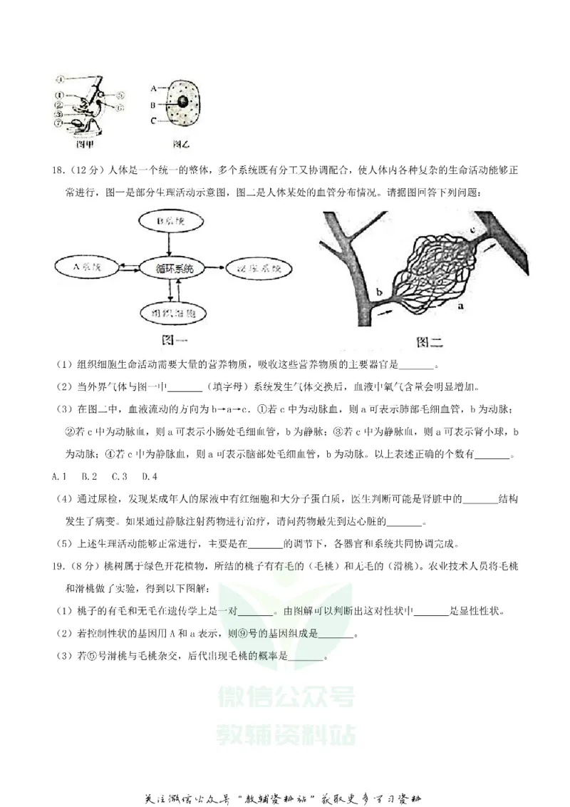 《2018四川省南充市中考生物真题及答案_初高中资料库_初中资料库（转存避免链接过期失效）_初中生物》第5页预览