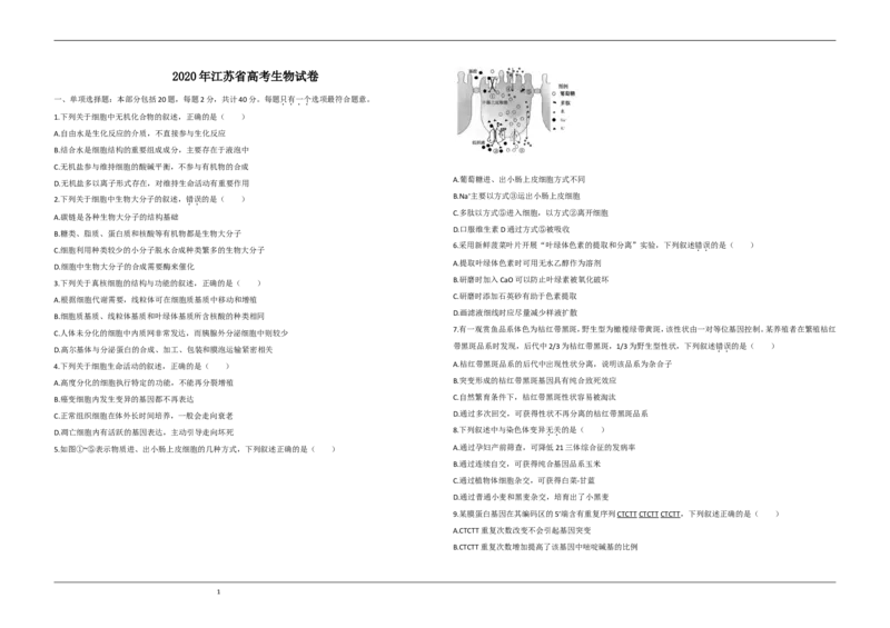 《2020年江苏省高考生物试卷(1)_高考一二三轮复习_生物_2027年高考生物专项_2008年-2026年生物高考真题-G427_2008-2020年高考_地方卷_江苏高考生物07-20_A3word版》第1页预览
