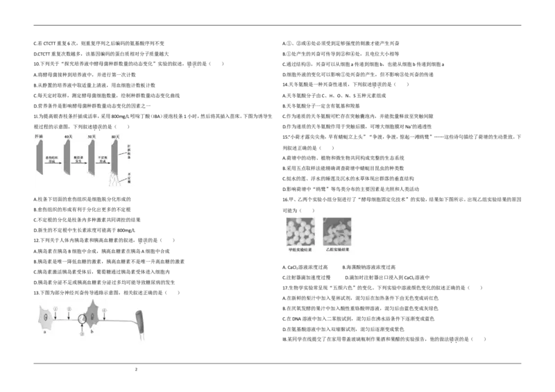 《2020年江苏省高考生物试卷(1)_高考一二三轮复习_生物_2027年高考生物专项_2008年-2026年生物高考真题-G427_2008-2020年高考_地方卷_江苏高考生物07-20_A3word版》第2页预览