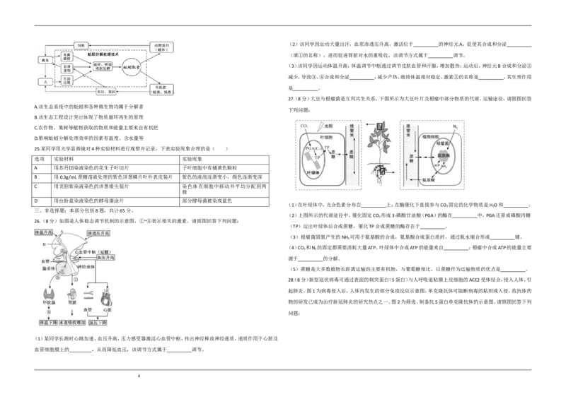 《2020年江苏省高考生物试卷(1)_高考一二三轮复习_生物_2027年高考生物专项_2008年-2026年生物高考真题-G427_2008-2020年高考_地方卷_江苏高考生物07-20_A3word版》第4页预览