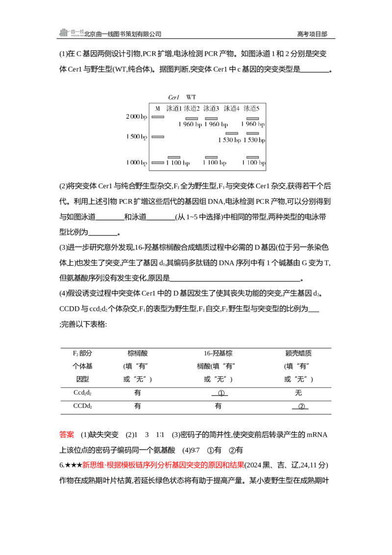 《2_精练册Word—第11章基因突变及其他变异_2026版教学资源包_202653高考总复习A版_新高考_生物_教师A版2026年.新高考版.生物.53_第2部分遗传与进化_第11章基因突变及其他变异_3_习题WORD》第3页预览