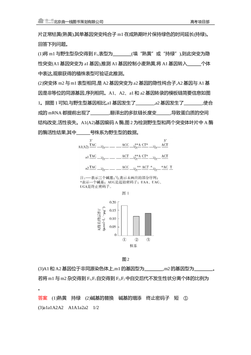 《2_精练册Word—第11章基因突变及其他变异_2026版教学资源包_202653高考总复习A版_新高考_生物_教师A版2026年.新高考版.生物.53_第2部分遗传与进化_第11章基因突变及其他变异_3_习题WORD》第4页预览