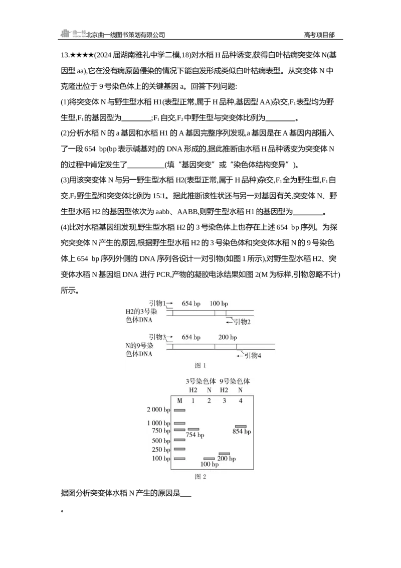 《2_精练册Word—第11章基因突变及其他变异_2026版教学资源包_202653高考总复习A版_新高考_生物_教师A版2026年.新高考版.生物.53_第2部分遗传与进化_第11章基因突变及其他变异_3_习题WORD》第7页预览