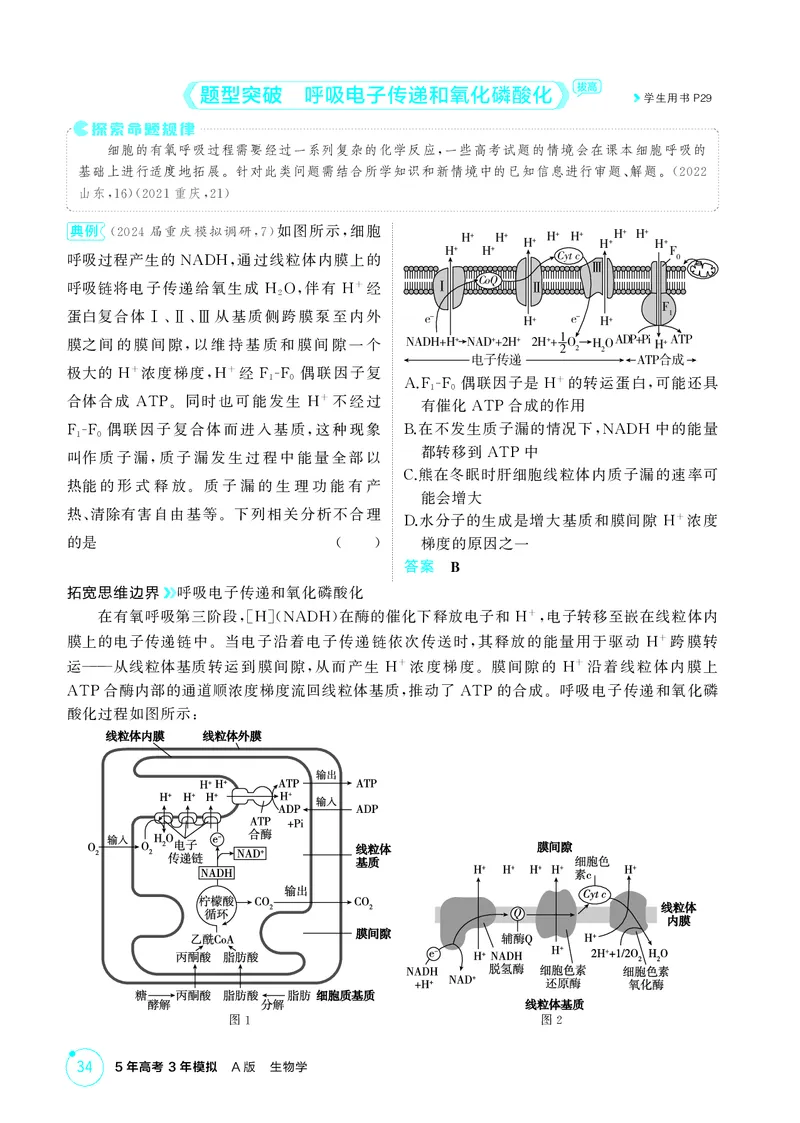 《2_精讲册第5章细胞的能量供应和利用_2026版教学资源包_202653高考总复习A版_新高考_生物_教师A版2026年.新高考版.生物.53_第1部分分子与细胞_第5章细胞的能量供应和利用_4_PDF教参电子书》第10页预览