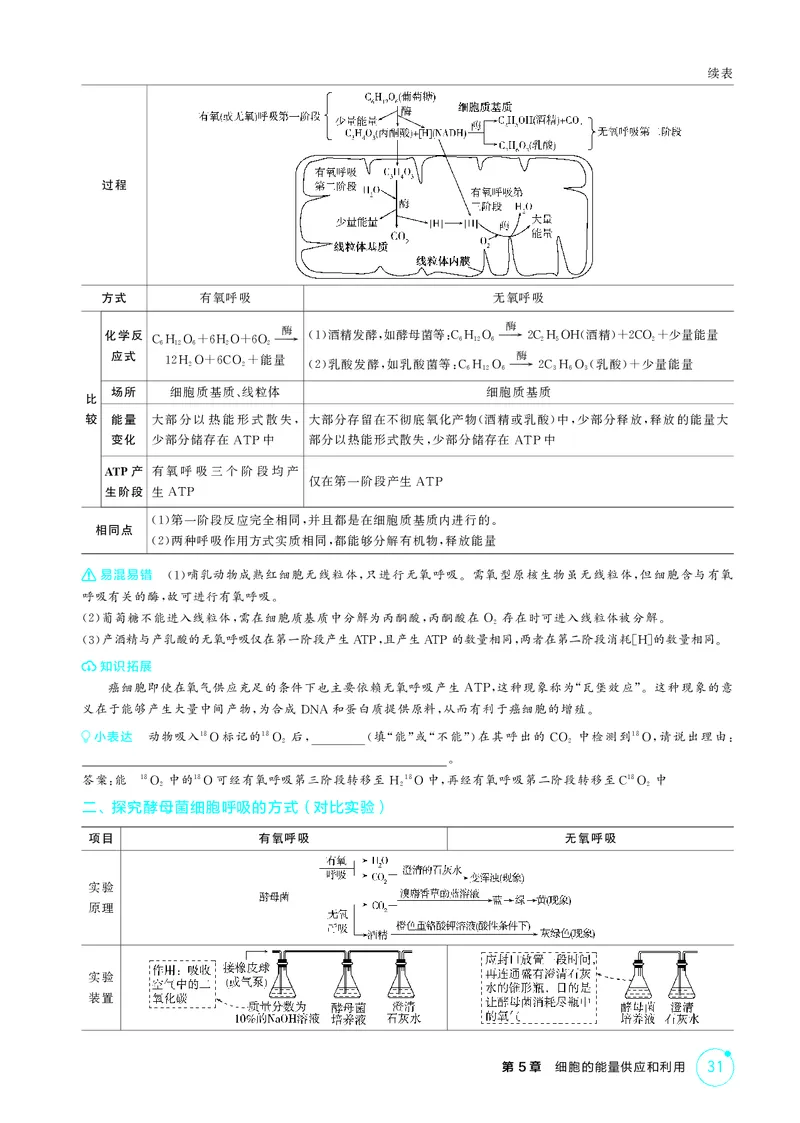 《2_精讲册第5章细胞的能量供应和利用_2026版教学资源包_202653高考总复习A版_新高考_生物_教师A版2026年.新高考版.生物.53_第1部分分子与细胞_第5章细胞的能量供应和利用_4_PDF教参电子书》第7页预览