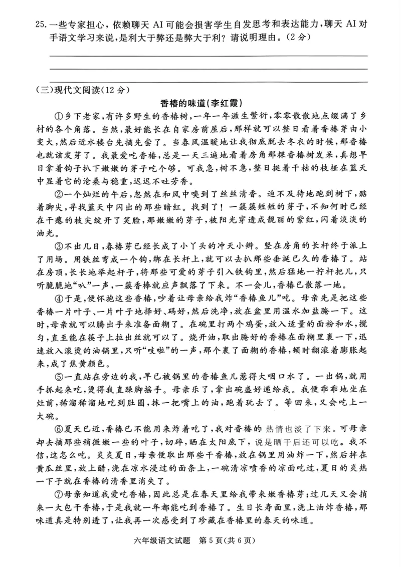 《六年级小升初语文试题_6年级下册同步教辅_6下-语文_六下语文单元+期中+期末卷_六下语文小升初测试卷》第5页预览