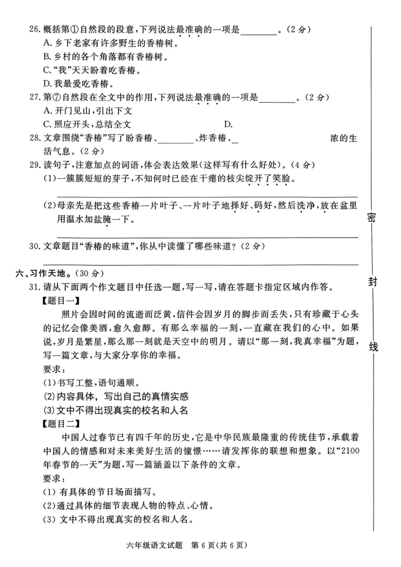 《六年级小升初语文试题_6年级下册同步教辅_6下-语文_六下语文单元+期中+期末卷_六下语文小升初测试卷》第6页预览