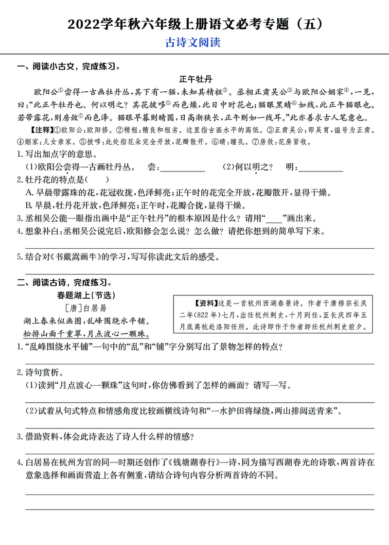 《六年级上册语文必考6大经典专题，新版重点专项分类知识卷必备！高清版_6年级上册同步教辅_6上语文_六上语文核心考点》第5页预览