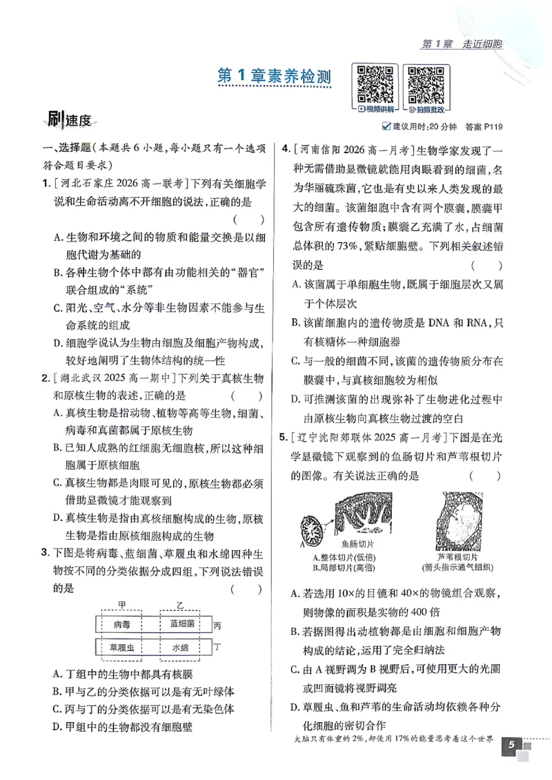《2027高中必刷题生物人教版必修一_2027高中必刷题_必刷题2027_2027高一高二必刷题_生物_生物必修一人教》第10页预览
