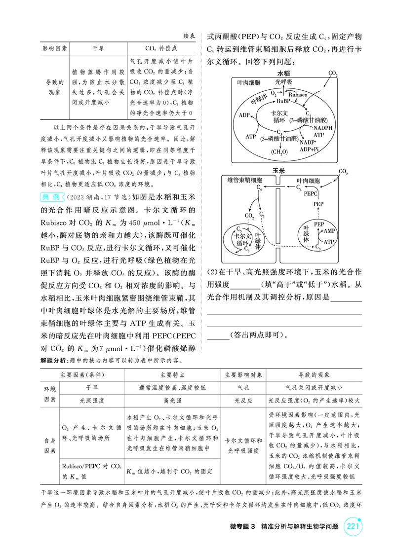 《2_精讲册-微专题3精准分析与解释生物学问题_2026版教学资源包_202653高考总复习A版_广东版_2026版.广东版.选考总复习.生物.5·3A版_微专题_微专题3精准分析与解释生物学问题_4_PDF教参电子书》第3页预览