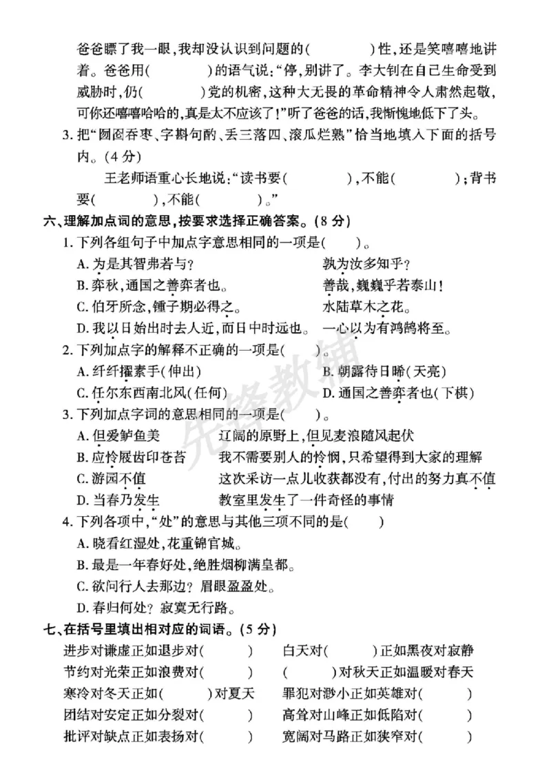《六年级（下）《字词+句子+阅读》重点专项_6年级下册同步教辅_6下-语文_六下语文专项练习》第4页预览