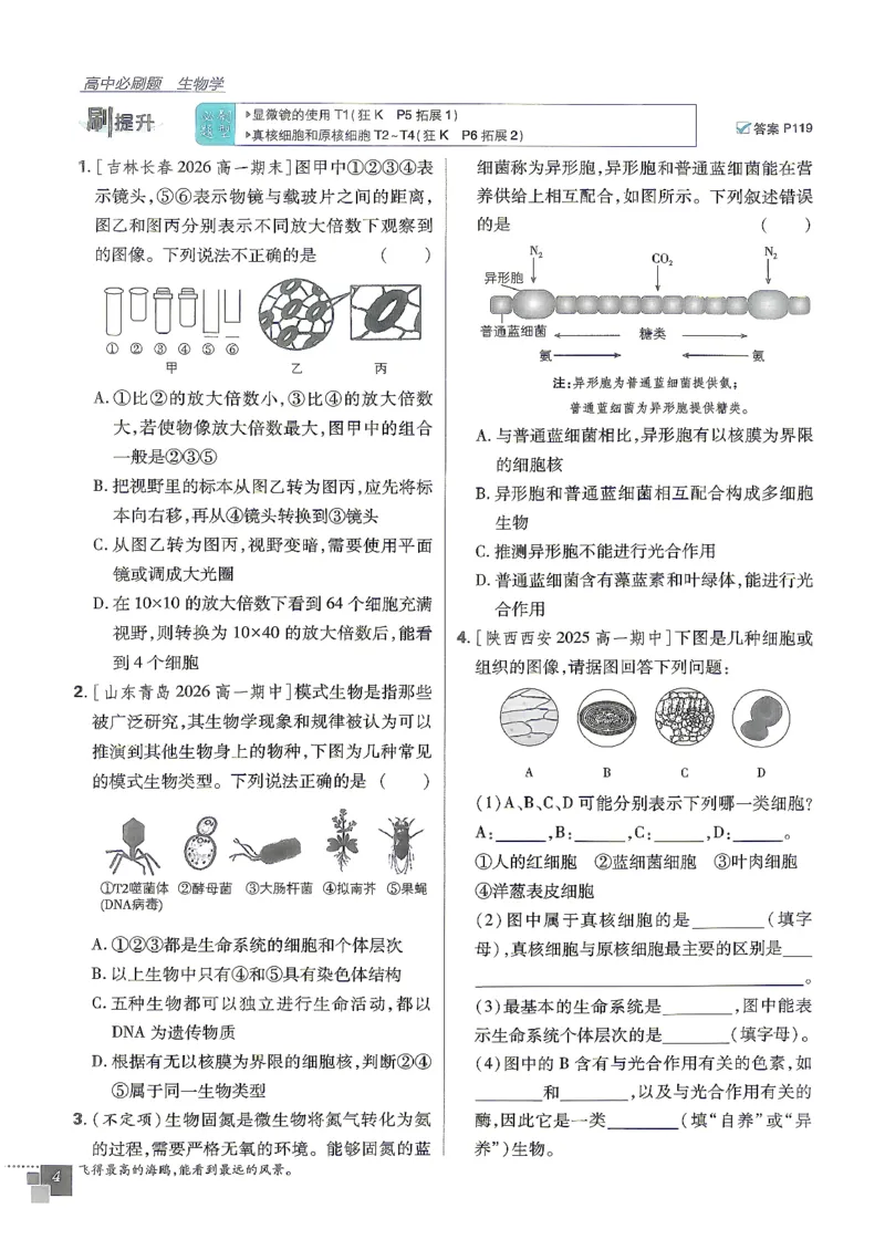 《2027版高中必刷题人教生物必修1不定项选择_2027高中必刷题_必刷题2027_2027高一高二必刷题_2027版高中必刷题人教版生物必修1不定项选择》第10页预览