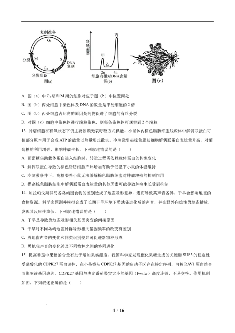 《31_生物（八省联考真题解读，陕西、山西、宁夏、青海）-2025年1月“八省联考”_2026版教学资源包_202653高考总复习A版_新高考_生物_教师A版2026年.新高考版.生物.53_1_资源拓展》第4页预览