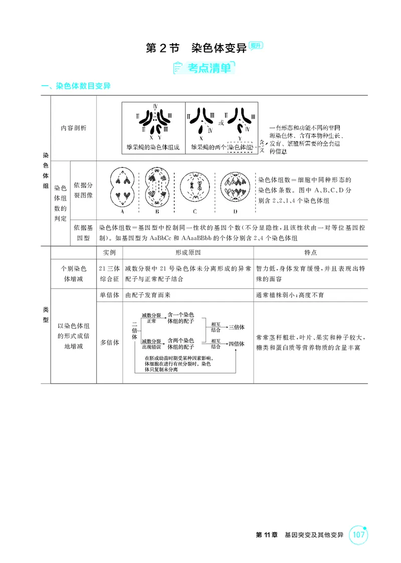 《2_精讲册第11章基因突变及其他变异_2026版教学资源包_202653高考总复习A版_新高考_生物_教师A版2026年.新高考版.生物.53_第2部分遗传与进化_第11章基因突变及其他变异_4_PDF教参电子书》第4页预览
