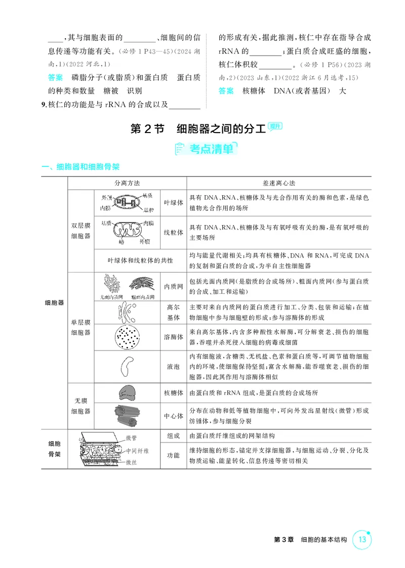 《2_精讲册第3章细胞的基本结构_2026版教学资源包_202653高考总复习A版_新高考_生物_教师A版2026年.新高考版.生物.53_第1部分分子与细胞_第3章细胞的基本结构_4_PDF教参电子书》第3页预览