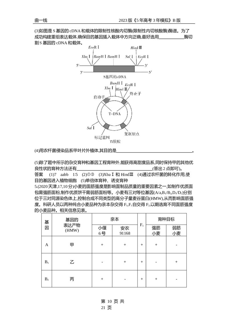 《1_专题14　生物的变异和育种（试题word）_2023版教学资源包_2023版新高考新教材版选考总复习生物5·3B版_14_专题十四生物的变异和育种_3_试题WORD》第10页预览