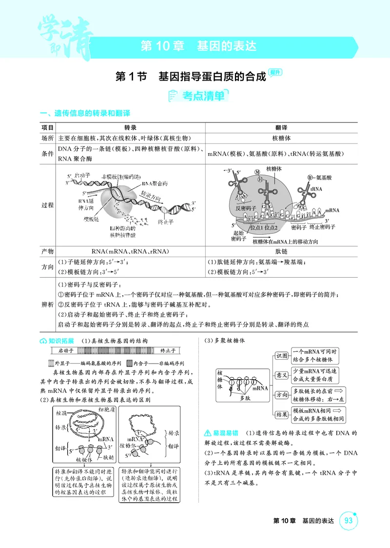 《2_精讲册-第10章基因的表达_2026版教学资源包_202653高考总复习A版_广东版_2026版.广东版.选考总复习.生物.5·3A版_第2部分遗传与进化_第10章基因的表达_4_PDF教参电子书》第1页预览