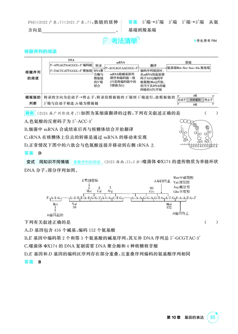 《2_精讲册-第10章基因的表达_2026版教学资源包_202653高考总复习A版_广东版_2026版.广东版.选考总复习.生物.5·3A版_第2部分遗传与进化_第10章基因的表达_4_PDF教参电子书》第3页预览