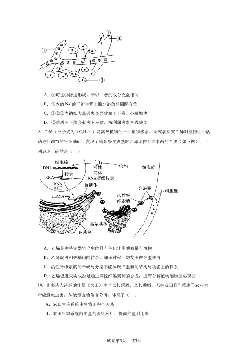 《5_2025届河北省邯郸市高三第一次大联考模拟预测生物试题_2026版教学资源包_202653高考总复习A版_新高考_生物_教师A版2026年.新高考版.生物.53_优质模拟题精选（Word）_1_资源拓展》第3页预览