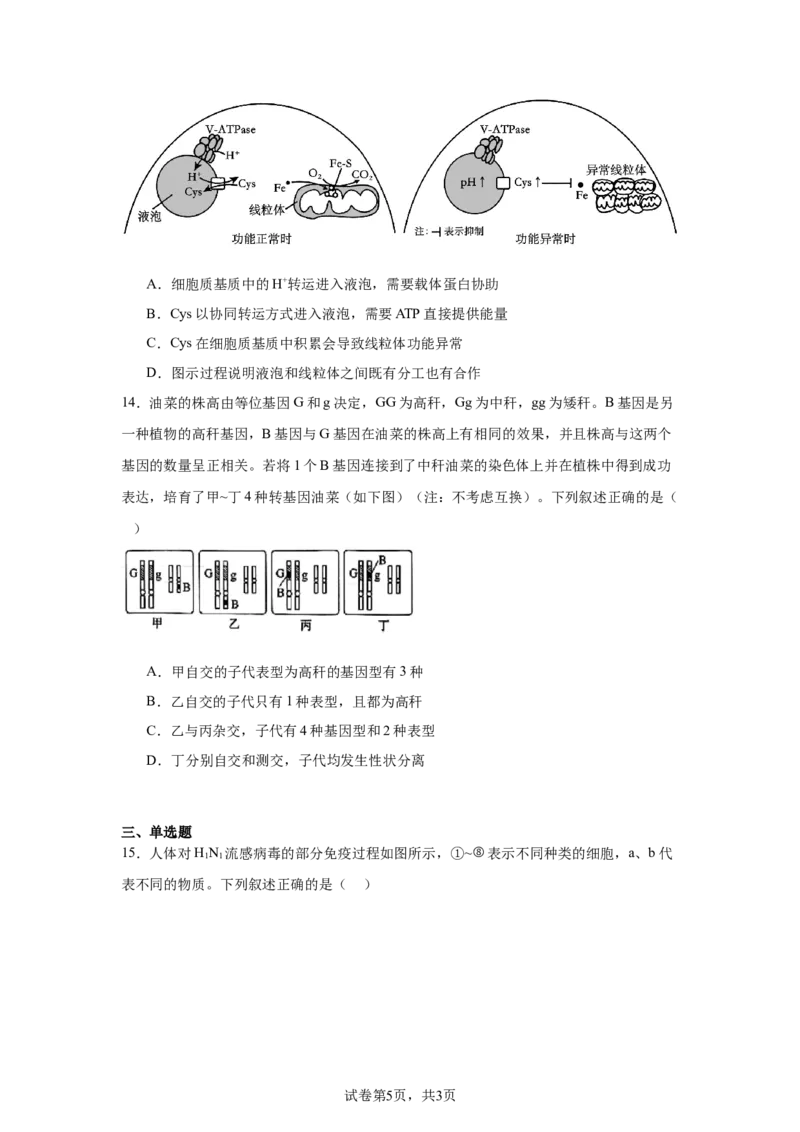 《5_2025届河北省邯郸市高三第一次大联考模拟预测生物试题_2026版教学资源包_202653高考总复习A版_新高考_生物_教师A版2026年.新高考版.生物.53_优质模拟题精选（Word）_1_资源拓展》第5页预览