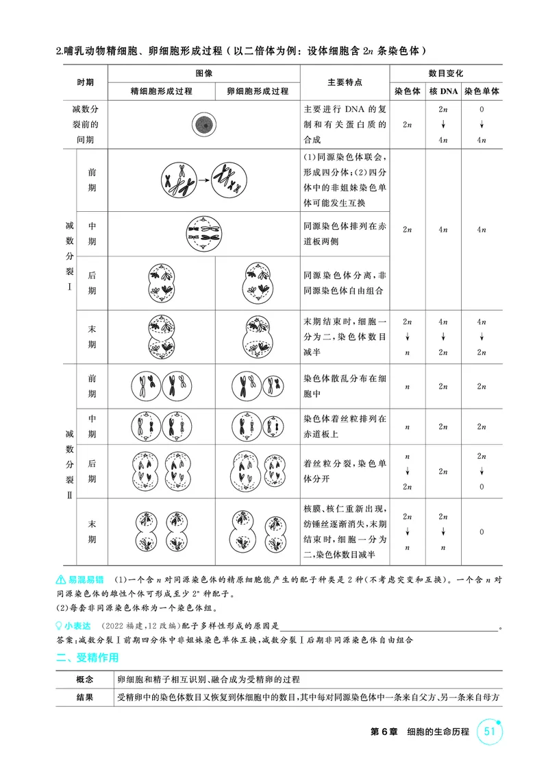 《2_精讲册-第6章细胞的生命历程_2026版教学资源包_202653高考总复习A版_广东版_2026版.广东版.选考总复习.生物.5·3A版_第1部分分子与细胞_第6章细胞的生命历程_4_PDF教参电子书》第5页预览