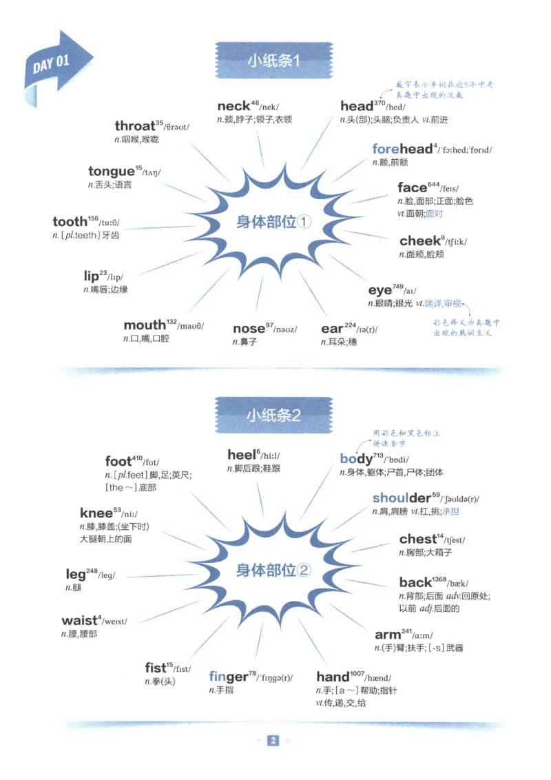 《2027版星火初中英语词汇150张小纸条_2026秋初中教辅合集_2027《星火英语•初中英语词汇150张小纸条》》第7页预览