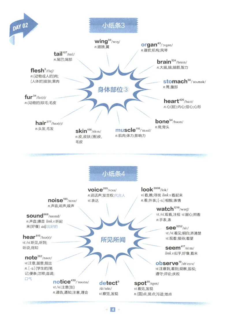 《2027版星火初中英语词汇150张小纸条_2026秋初中教辅合集_2027《星火英语•初中英语词汇150张小纸条》》第9页预览