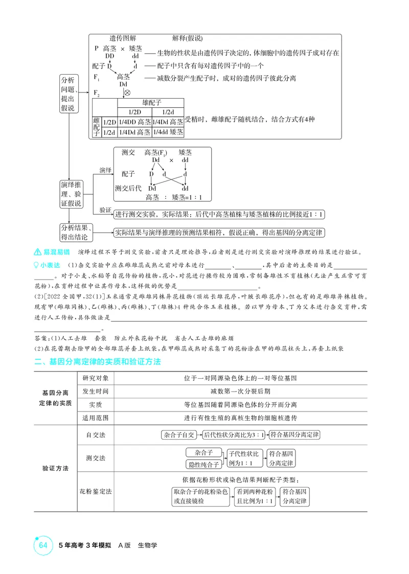 《2_精讲册第7章遗传因子的发现_2026版教学资源包_202653高考总复习A版_新高考_生物_教师A版2026年.新高考版.生物.53_第2部分遗传与进化_第7章遗传因子的发现_4_PDF教参电子书》第2页预览