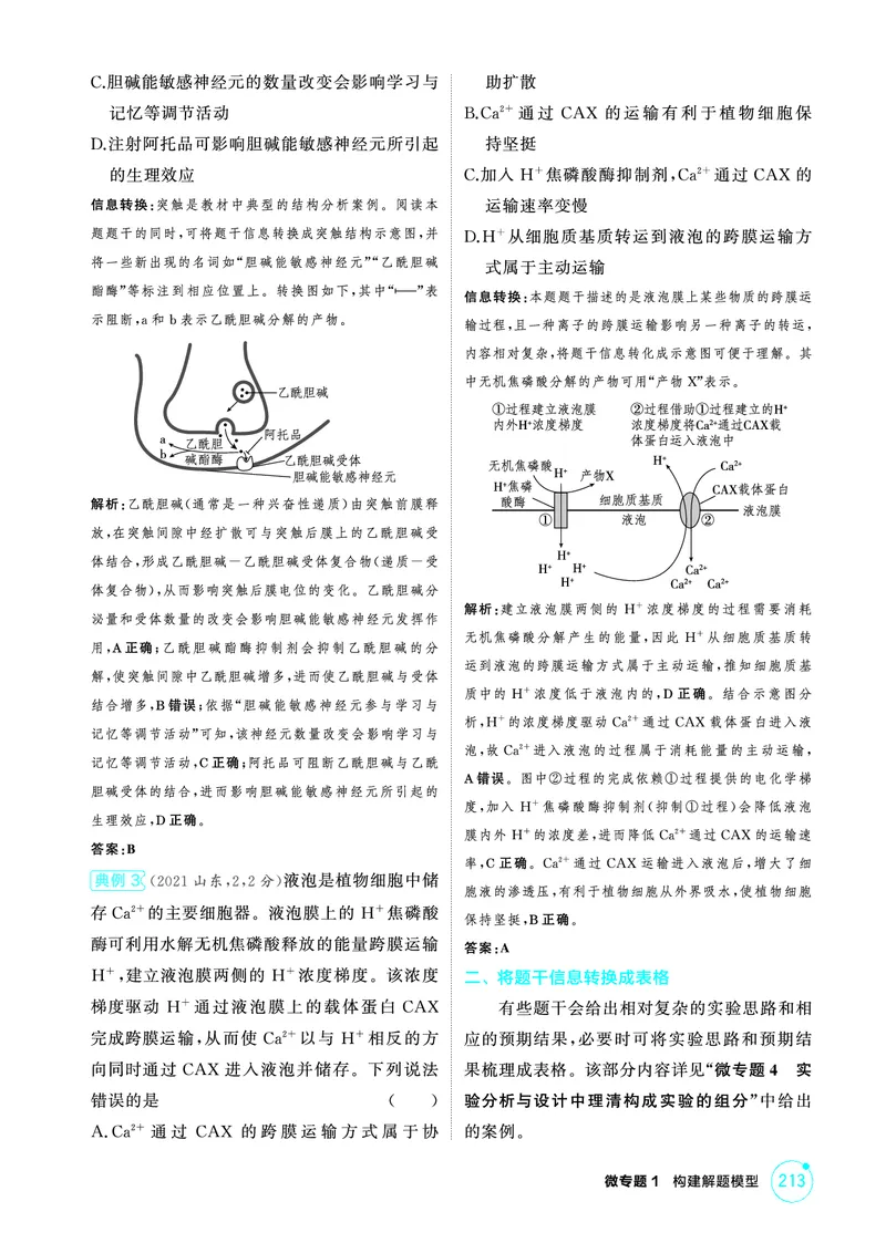 《2_精讲册-微专题1构建解题模型_2026版教学资源包_202653高考总复习A版_广东版_2026版.广东版.选考总复习.生物.5·3A版_微专题_微专题1构建解题模型_4_PDF教参电子书》第2页预览