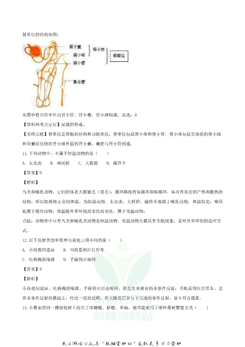 《2018湖南省怀化市中考生物真题及答案_初高中资料库_初中资料库（转存避免链接过期失效）_初中生物》第4页预览