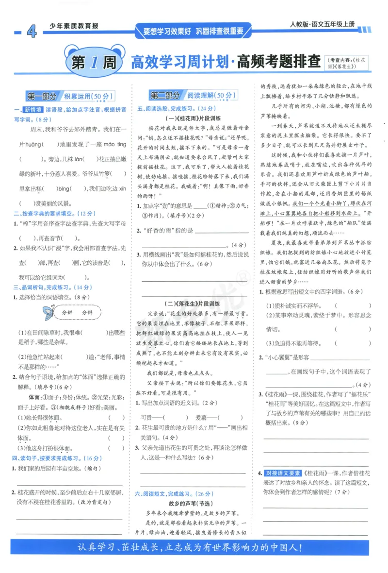 《5上语文少年素质教育报《周末基础复习》_2026秋《少年素质教育报·周末基础复习》》第4页预览