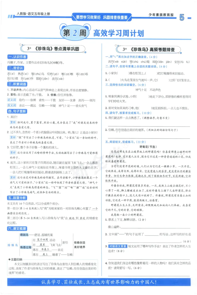 《5上语文少年素质教育报《周末基础复习》_2026秋《少年素质教育报·周末基础复习》》第5页预览