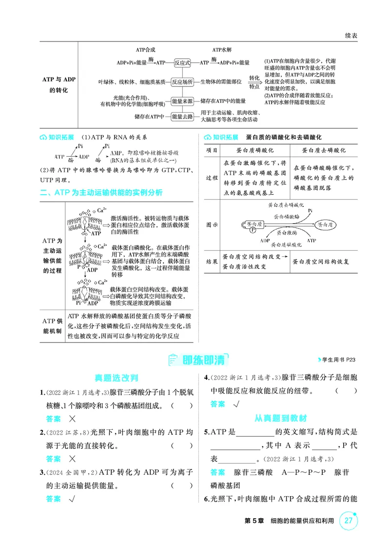 《2_精讲册-第5章细胞的能量供应和利用_2026版教学资源包_202653高考总复习A版_广东版_2026版.广东版.选考总复习.生物.5·3A版_第1部分分子与细胞_第5章细胞的能量供应和利用_4_PDF教参电子书》第5页预览